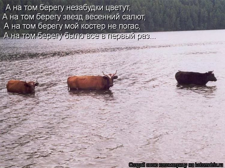 Александр Малинин - А на том берегу незабудки цветут. А на том берегу звезд весенний салют. А на том берегу мой костер не погас, А на том берегу было все в первый раз. В первый раз я любил и от счастья был глух. В первый раз пригубил дикий мед твоих губ.