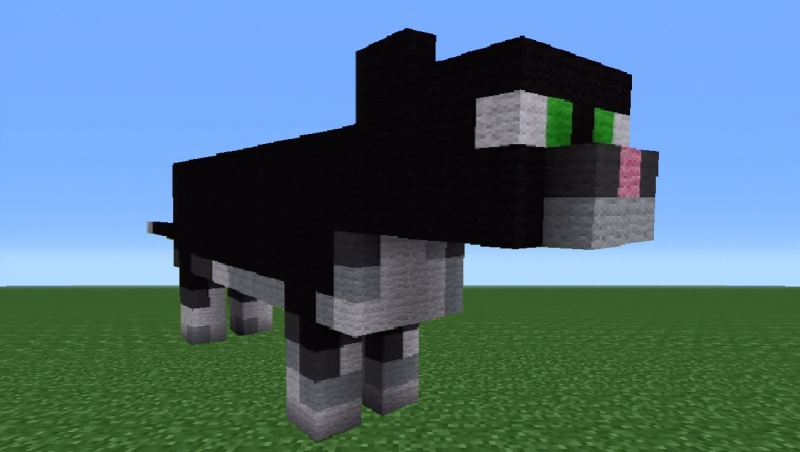 Minecraft - cat