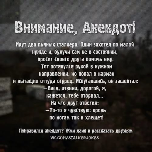 анегдот про сталкера