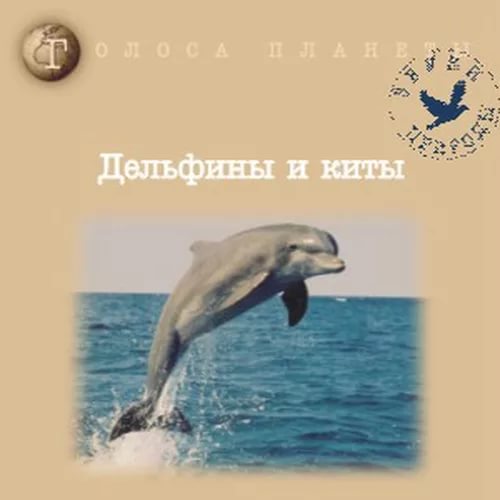 Звуки природы - Пение китов